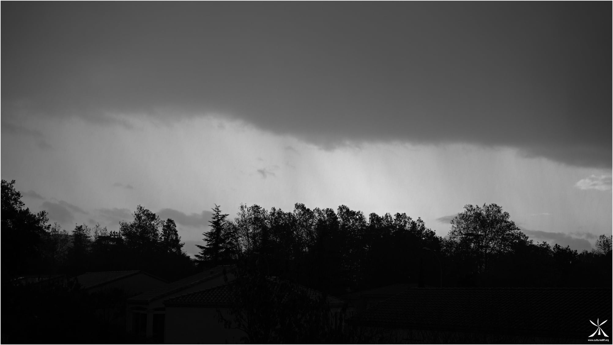Curtain of rain above the vegetation
